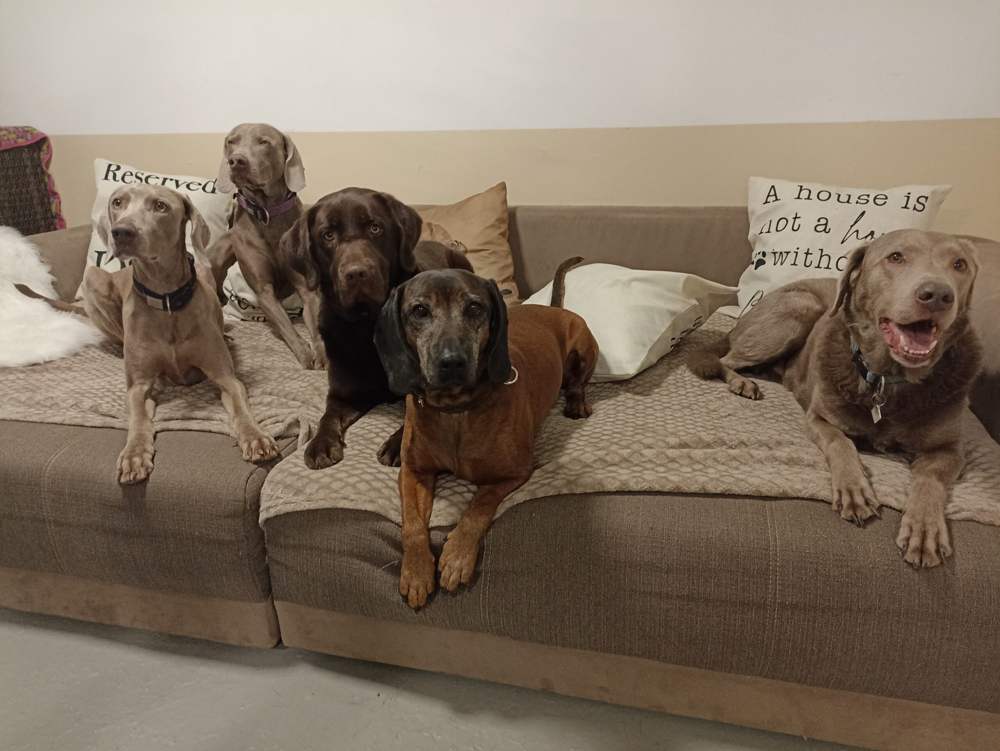 Trumlinghof Couchtime