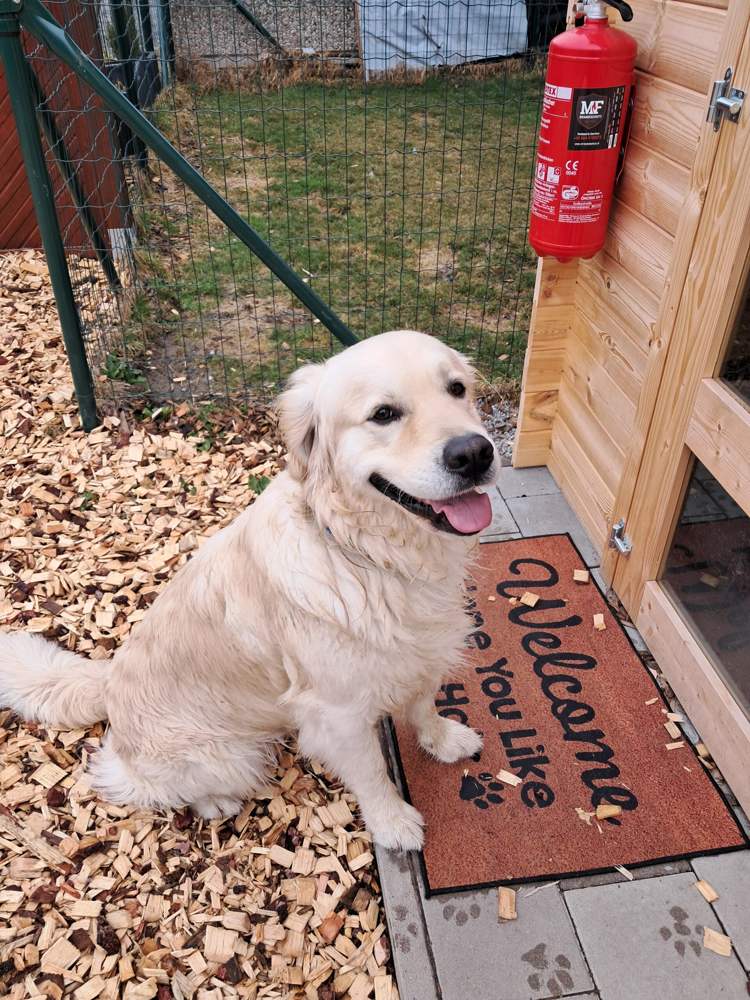 Trumlinghof Koda